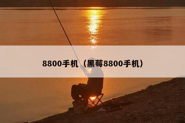 8800手机（黑莓8800手机）