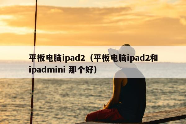 平板电脑ipad2（平板电脑ipad2和ipadmini 那个好）