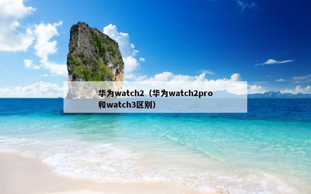 华为watch2（华为watch2pro和watch3区别）