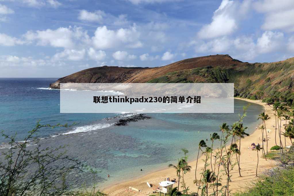 联想thinkpadx230的简单介绍