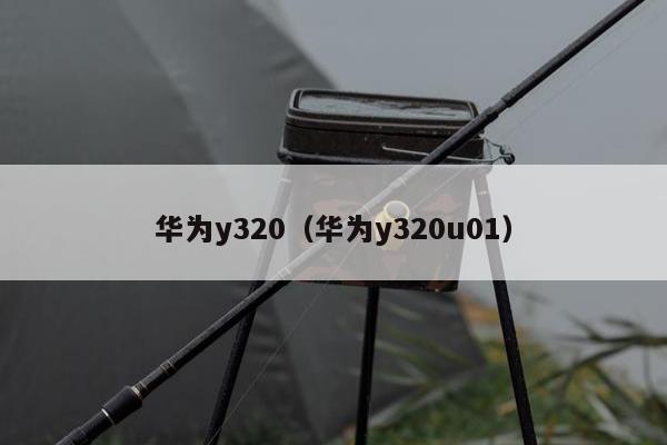 华为y320（华为y320u01）