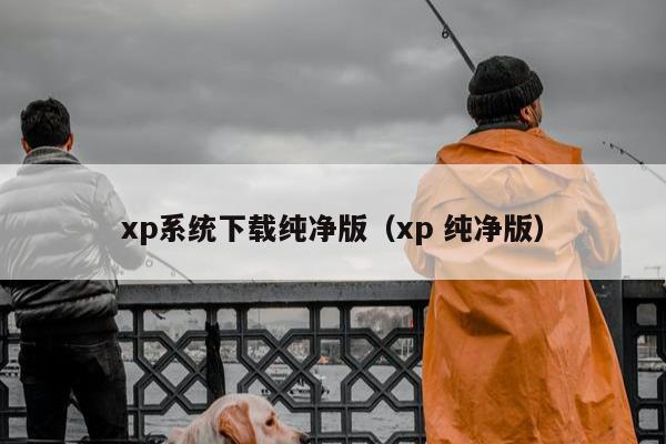 xp系统下载纯净版（xp 纯净版）