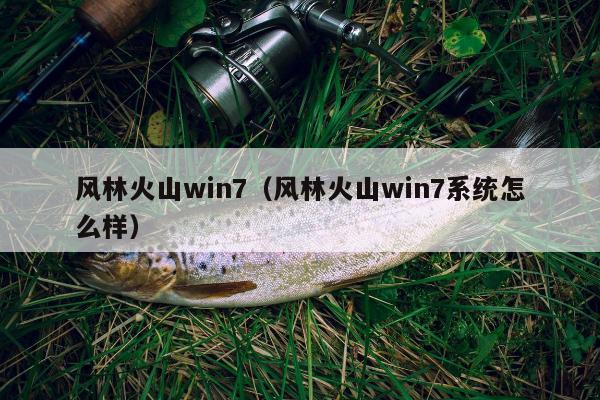 风林火山win7（风林火山win7系统怎么样）