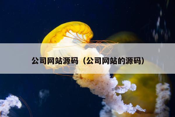 公司网站源码（公司网站的源码）