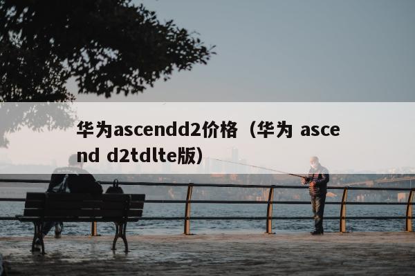 华为ascendd2价格（华为 ascend d2tdlte版）