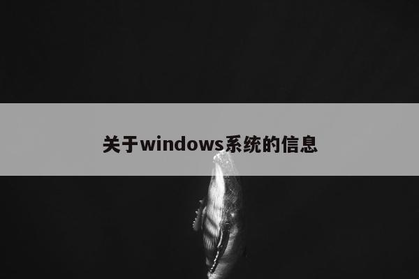 关于windows系统的信息