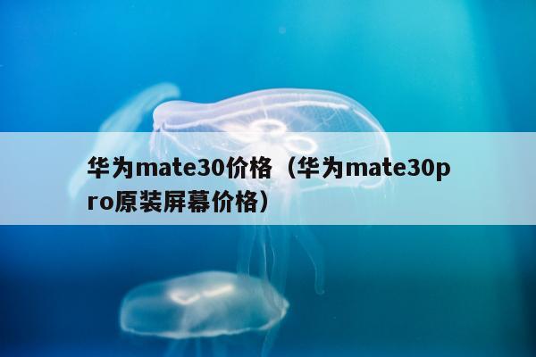 华为mate30价格（华为mate30pro原装屏幕价格）