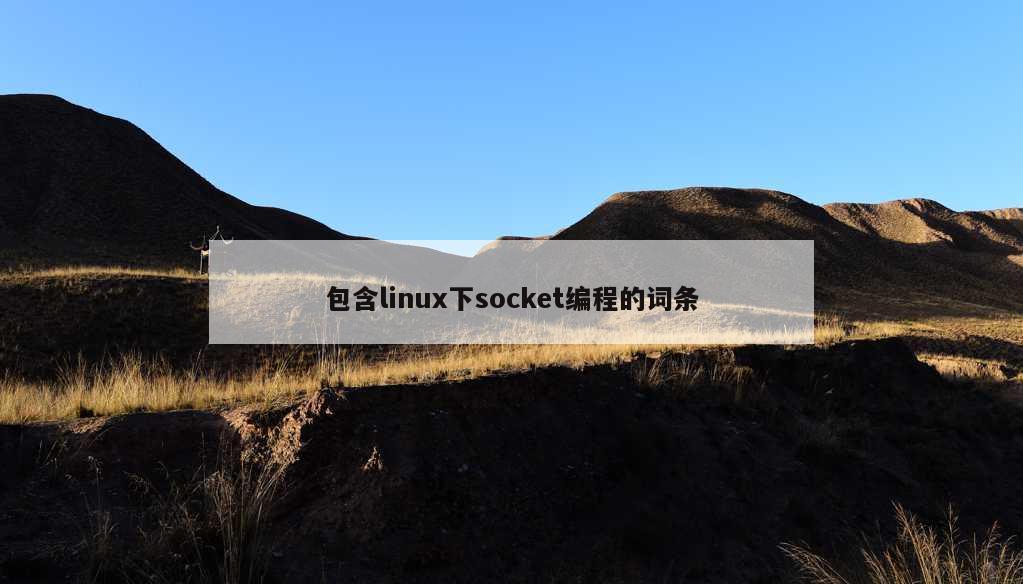 包含linux下socket编程的词条