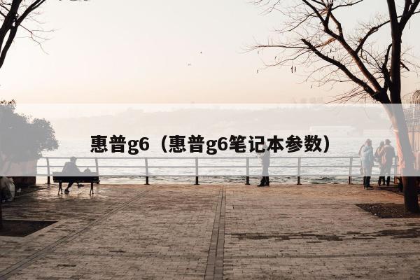 惠普g6（惠普g6笔记本参数）