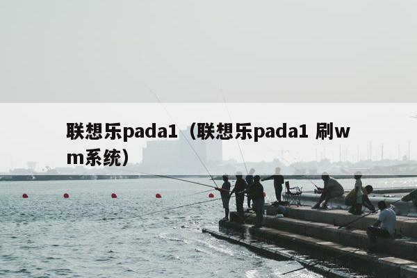 联想乐pada1（联想乐pada1 刷wm系统）