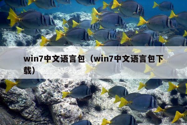 win7中文语言包（win7中文语言包下载）