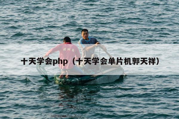 十天学会php（十天学会单片机郭天祥）