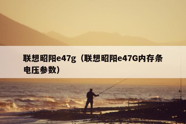 联想昭阳e47g（联想昭阳e47G内存条电压参数）