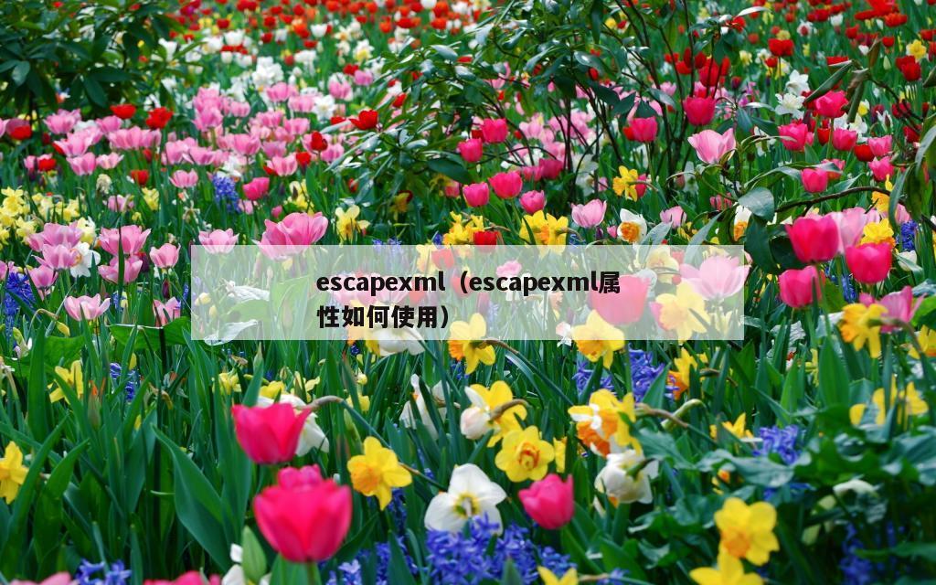 escapexml（escapexml属性如何使用）