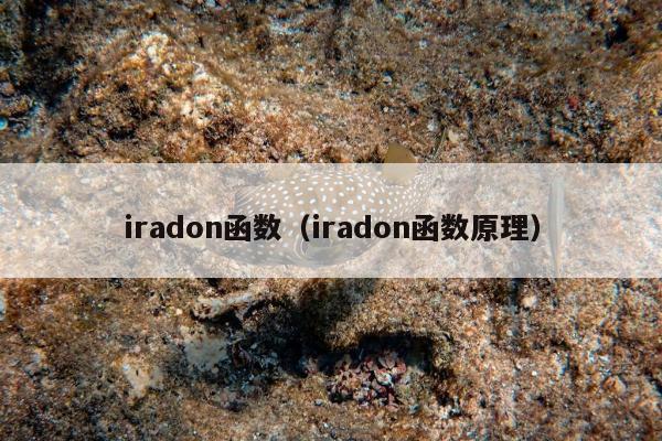 iradon函数（iradon函数原理）