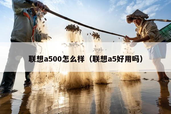 联想a500怎么样（联想a5好用吗）