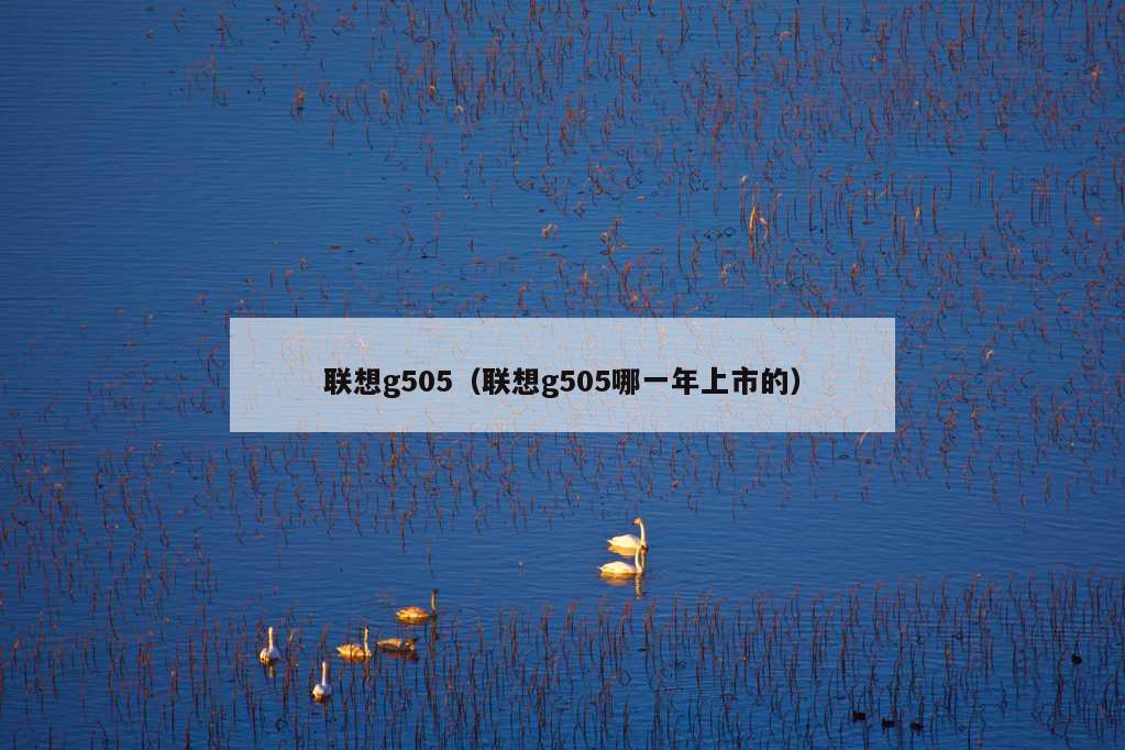 联想g505（联想g505哪一年上市的）