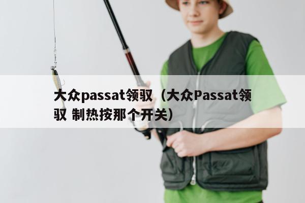 大众passat领驭（大众Passat领驭 制热按那个开关）