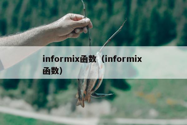 informix函数（informix 函数）