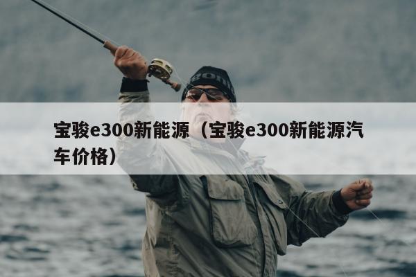 宝骏e300新能源（宝骏e300新能源汽车价格）