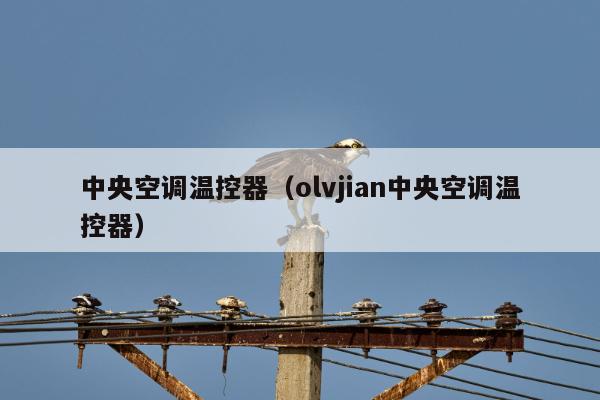 中央空调温控器（olvjian中央空调温控器）