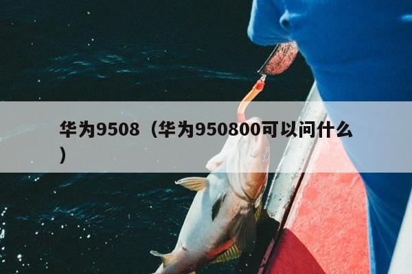 华为9508（华为950800可以问什么）