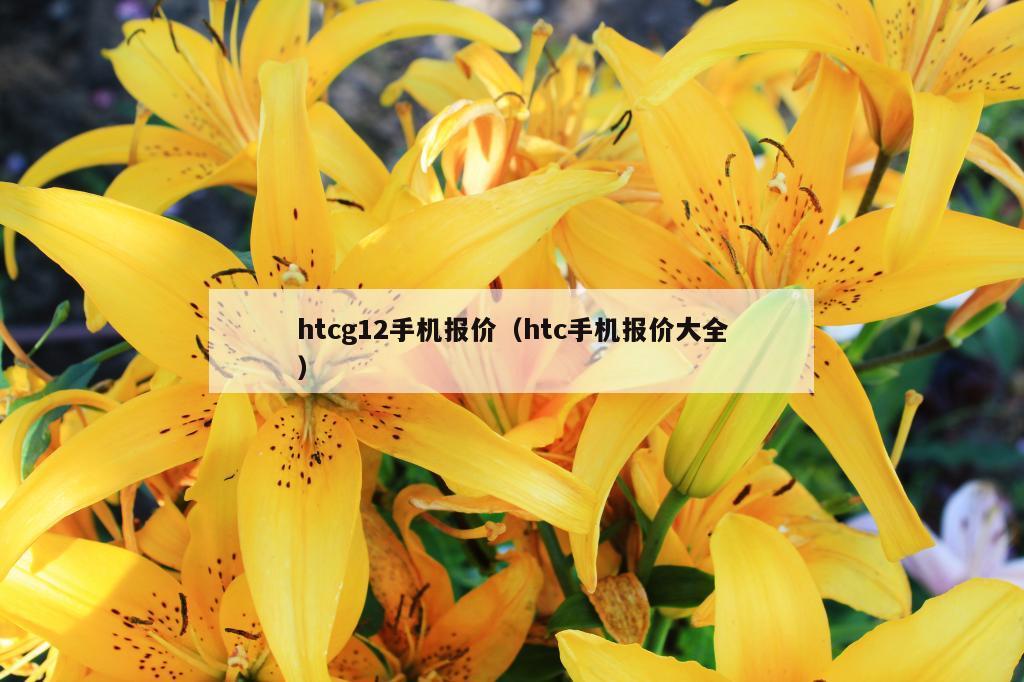 htcg12手机报价（htc手机报价大全）