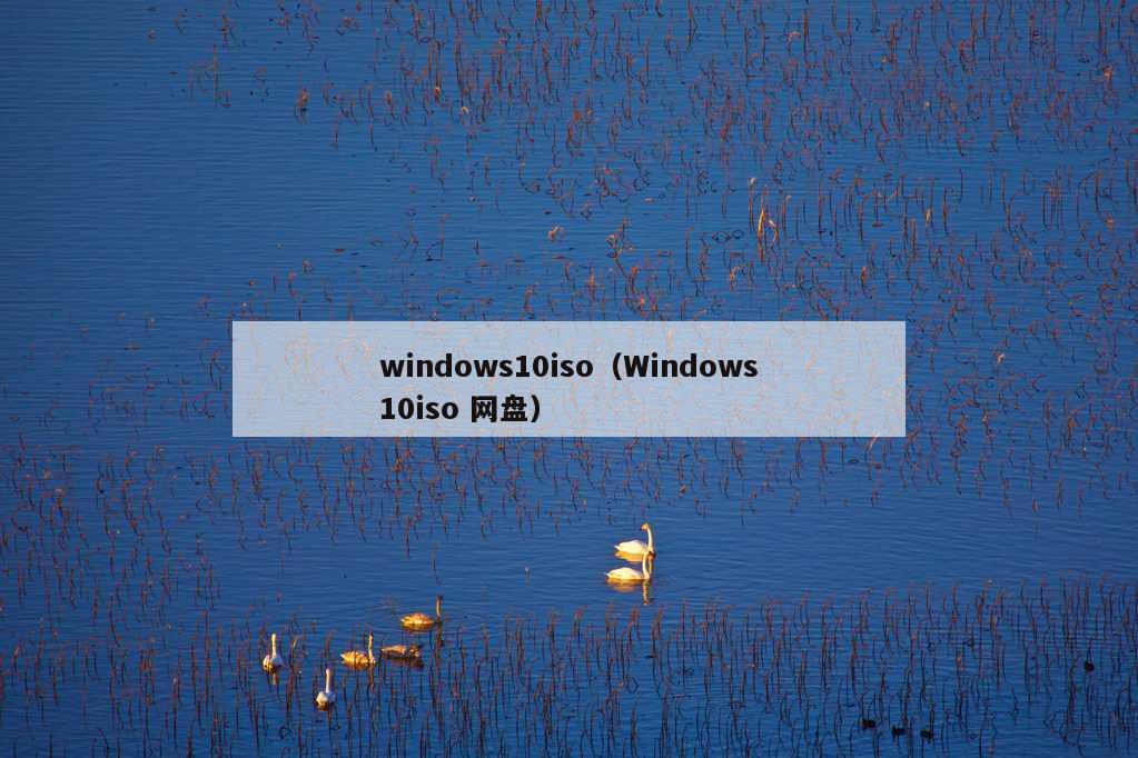 windows10iso（Windows10iso 网盘）