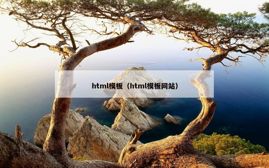 html模板（html模板网站）