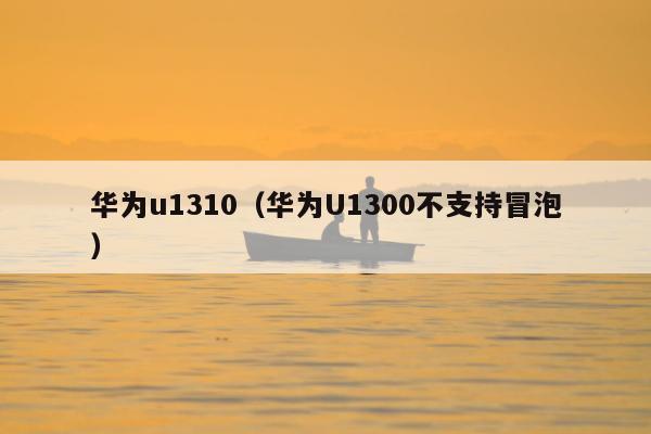 华为u1310（华为U1300不支持冒泡）