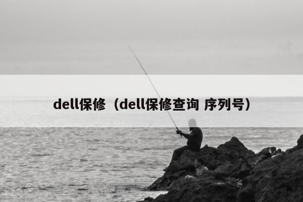 dell保修（dell保修查询 序列号）