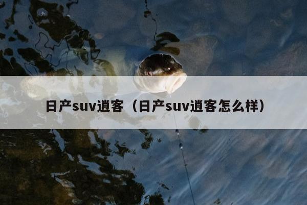 日产suv逍客（日产suv逍客怎么样）