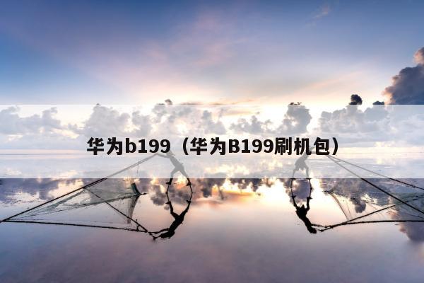 华为b199（华为B199刷机包）