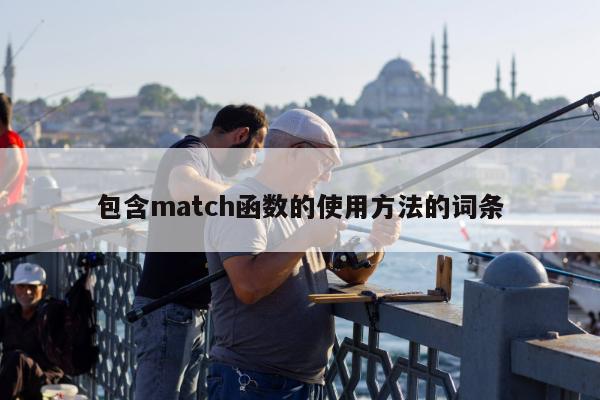 包含match函数的使用方法的词条