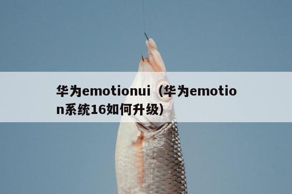 华为emotionui（华为emotion系统16如何升级）