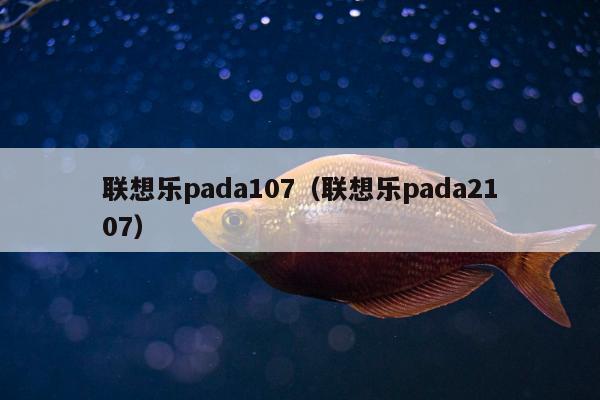 联想乐pada107（联想乐pada2107）