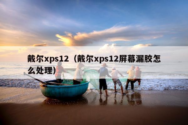 戴尔xps12（戴尔xps12屏幕漏胶怎么处理）