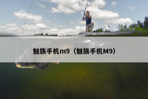 魅族手机m9（魅族手机M9）