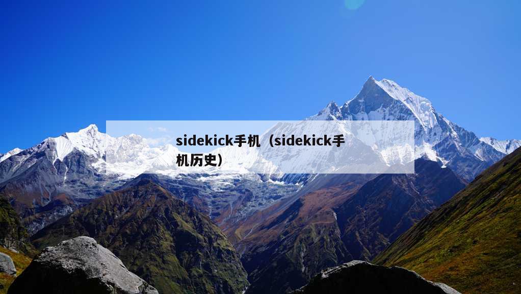 sidekick手机（sidekick手机历史）