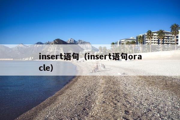 insert语句（insert语句oracle）