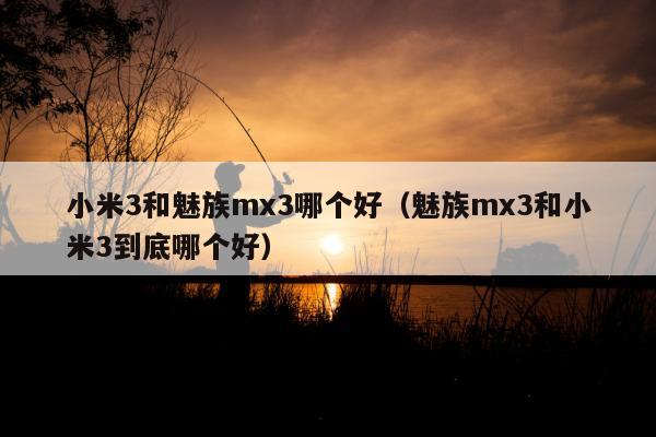 小米3和魅族mx3哪个好（魅族mx3和小米3到底哪个好）