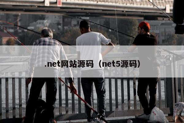 .net网站源码（net5源码）