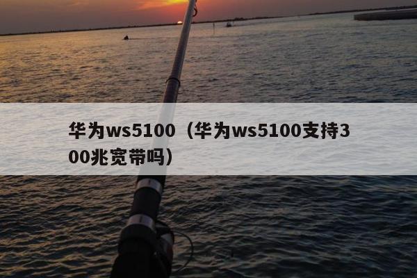 华为ws5100（华为ws5100支持300兆宽带吗）