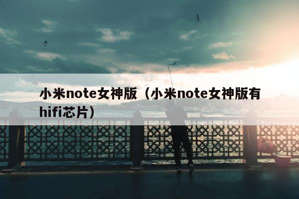 小米note女神版（小米note女神版有hifi芯片）