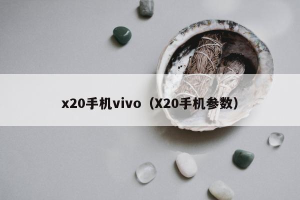 x20手机vivo（X20手机参数）