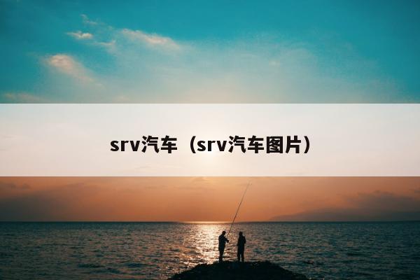 srv汽车（srv汽车图片）