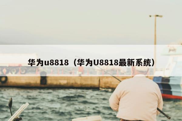 华为u8818（华为U8818最新系统）