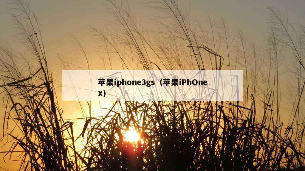 苹果iphone3gs（苹果iPhOneX）