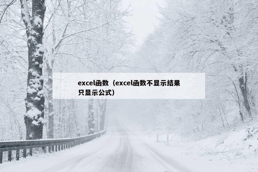 excel函数（excel函数不显示结果只显示公式）