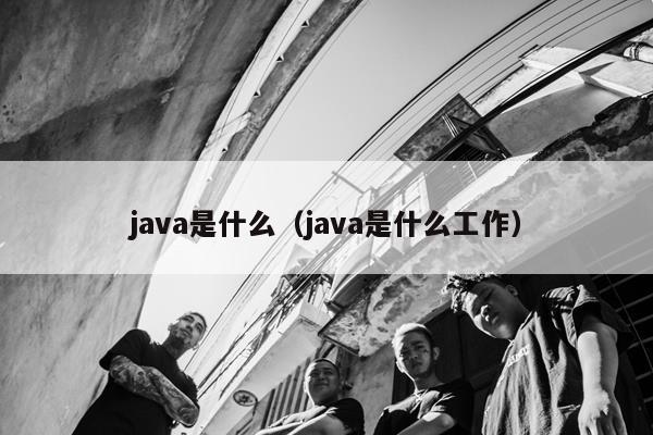 java是什么（java是什么工作）